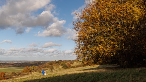 A couple walking at Dunstable Downs with autumnal colours in the trees